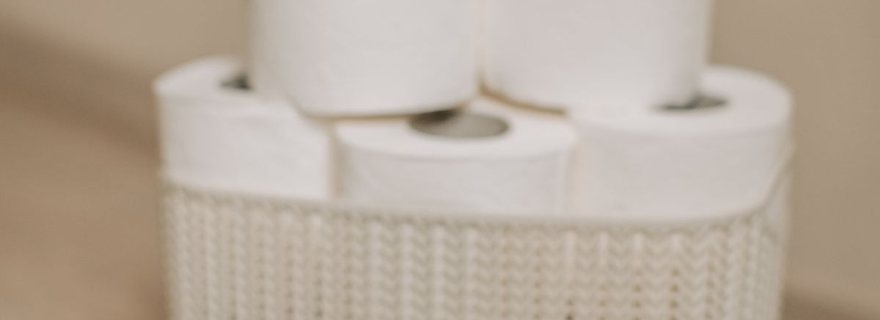 Rollos de papel higiénico y toallas de papel
